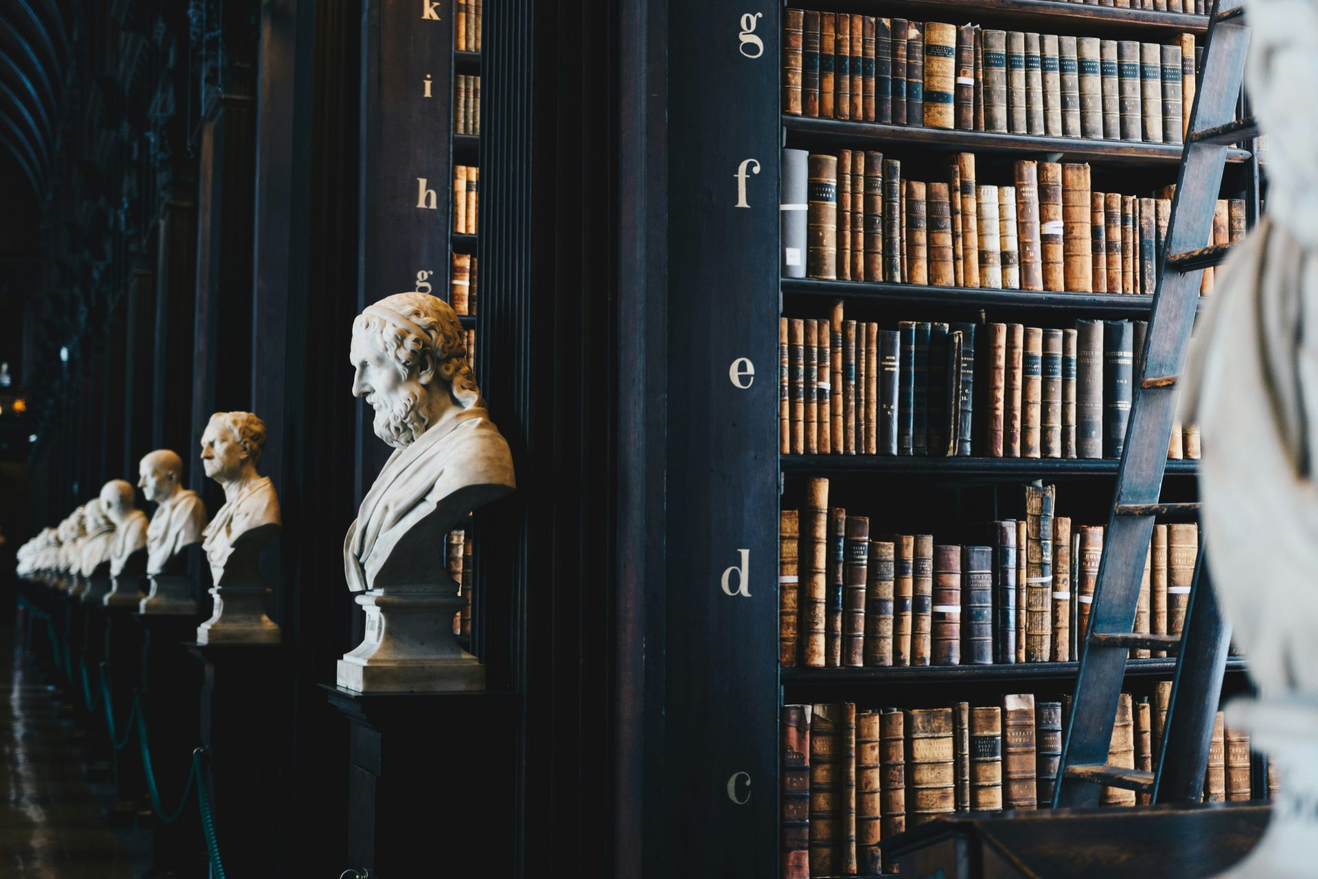 Biblioteca con bustos de mármol en los pasillos